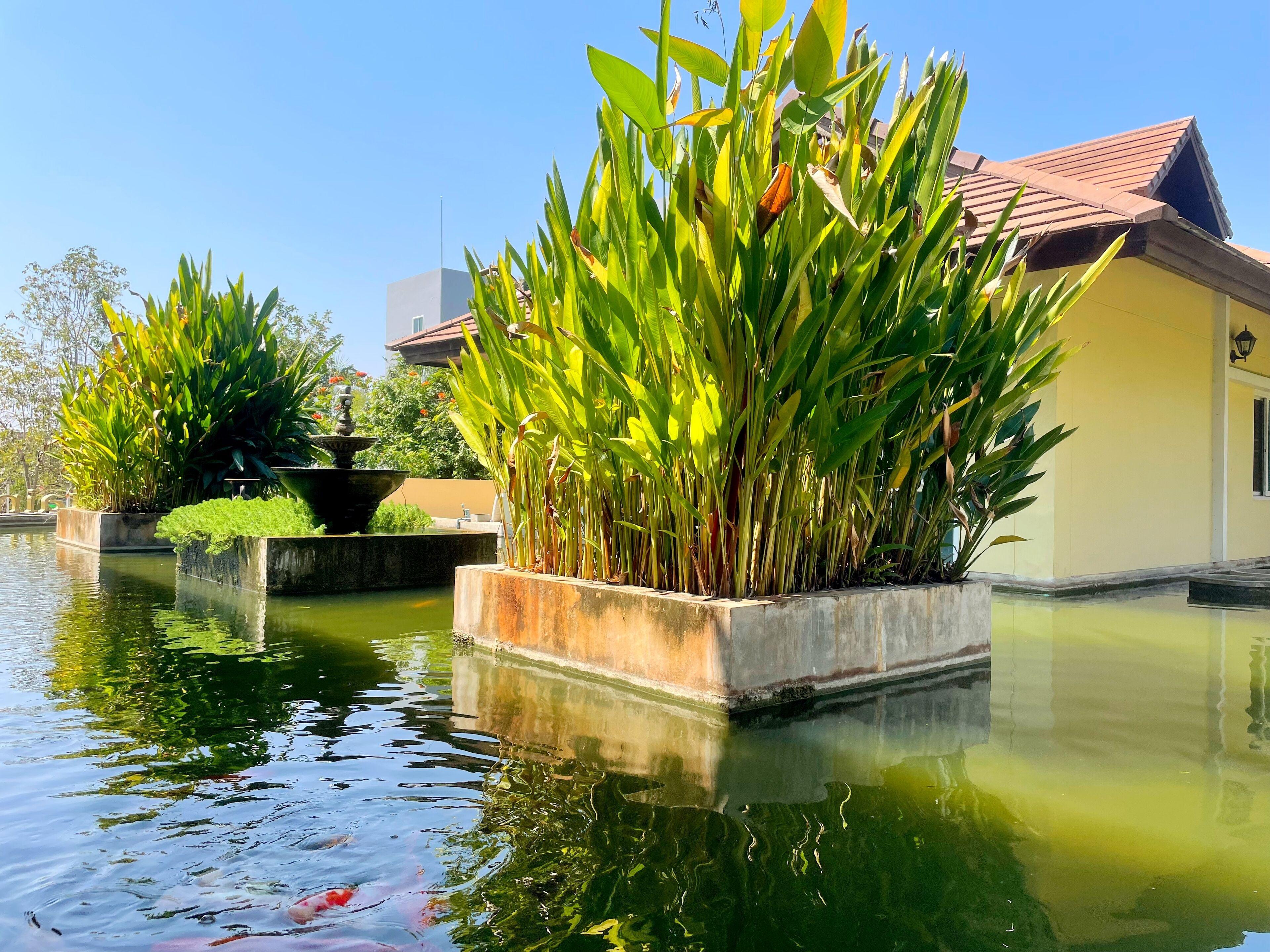 Mountain Creek Wellness Resort Chiangmai — Photos 2